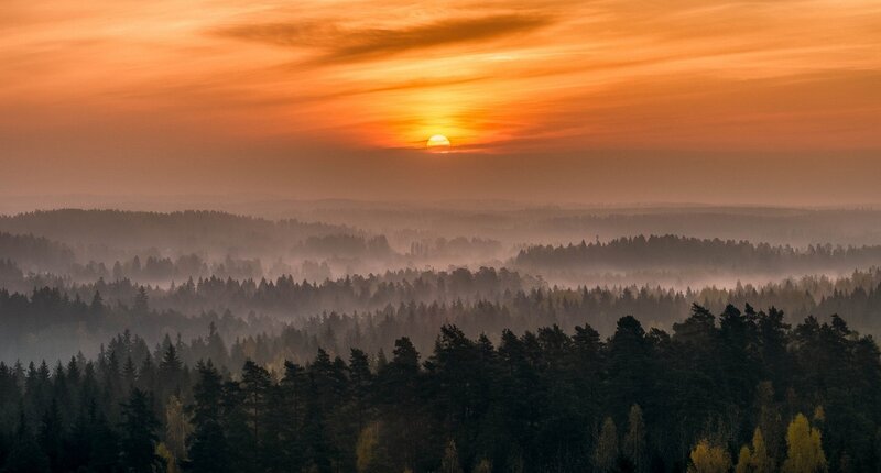 Sunset over Forest — Orange, Serene, Photograph, Sun