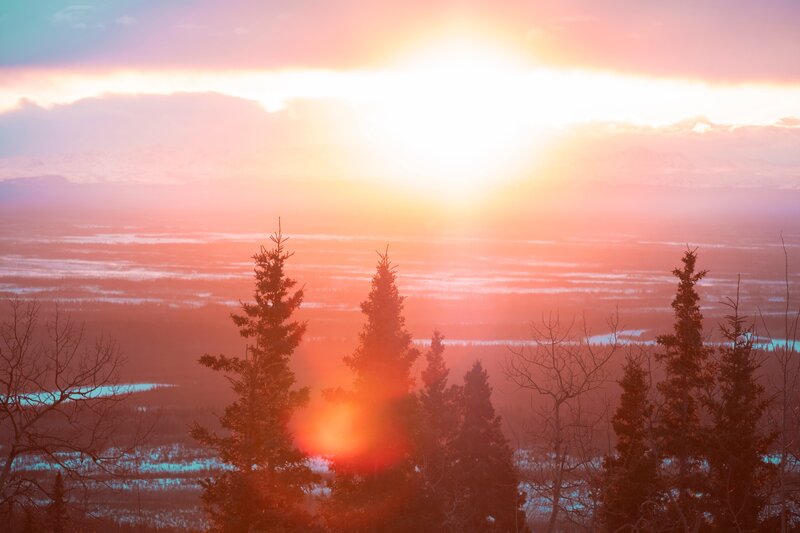 Sunset over Forest — Orange, Serene, Photograph, Trees