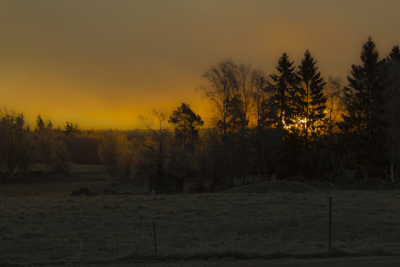 Sunset over Forest — Orange, Serene