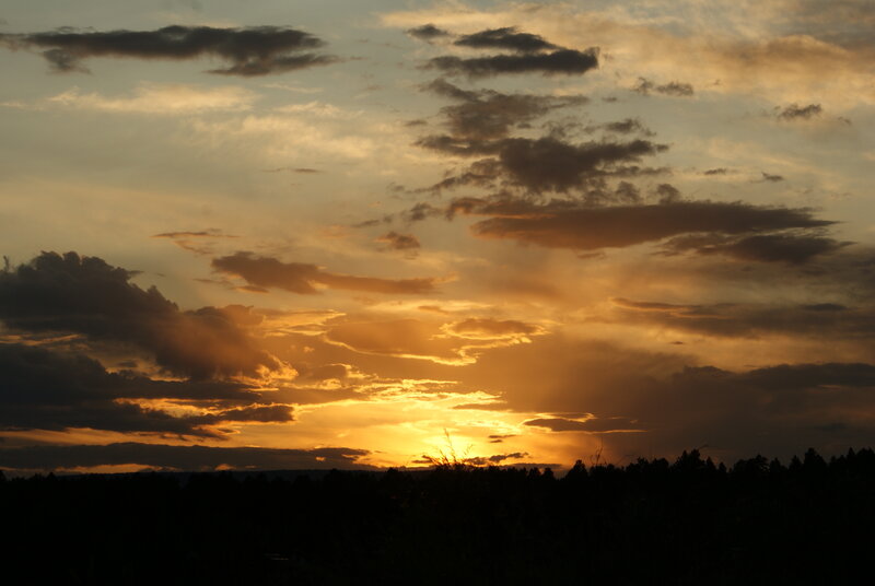 Sunset over Forest — Orange