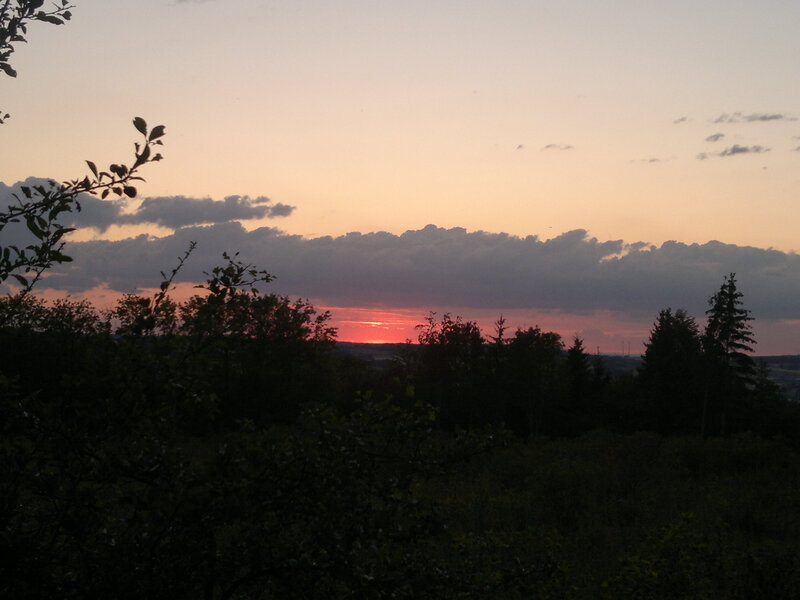 Sunset over Forest — Pink