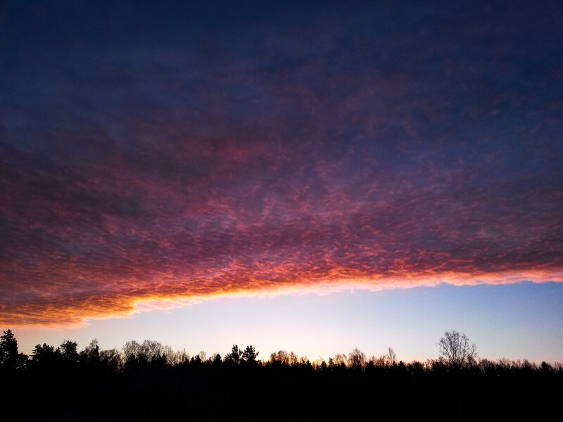 Sunset over Forest — Purple, Dramatic