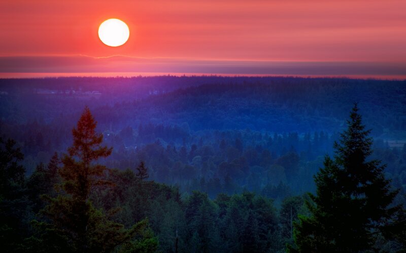 Sunset over Forest — Red, Serene, Photograph