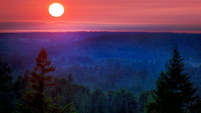 Sunset over Forest — Red