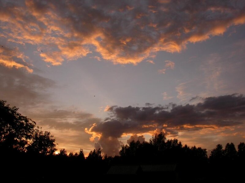 sunset over forest silhouette