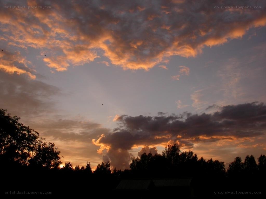 sunset over forest silhouette