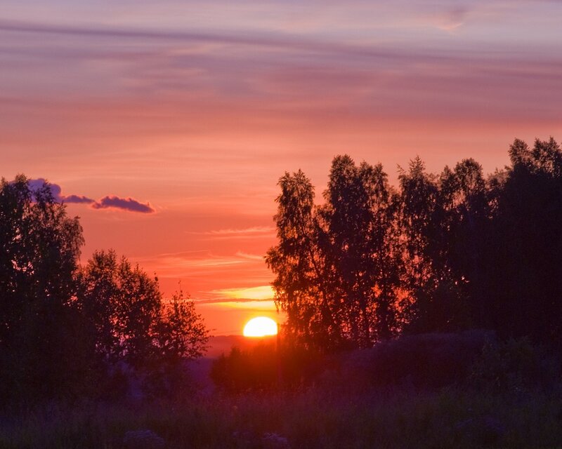 Sunset over forest silhouette