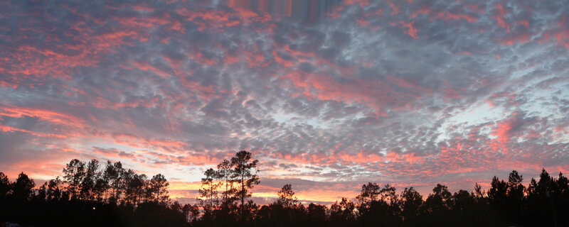 sunset over forest silhouette