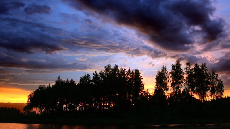 sunset over forest silhouette