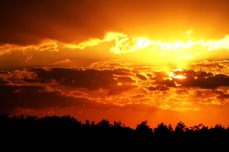 sunset over forest silhouette