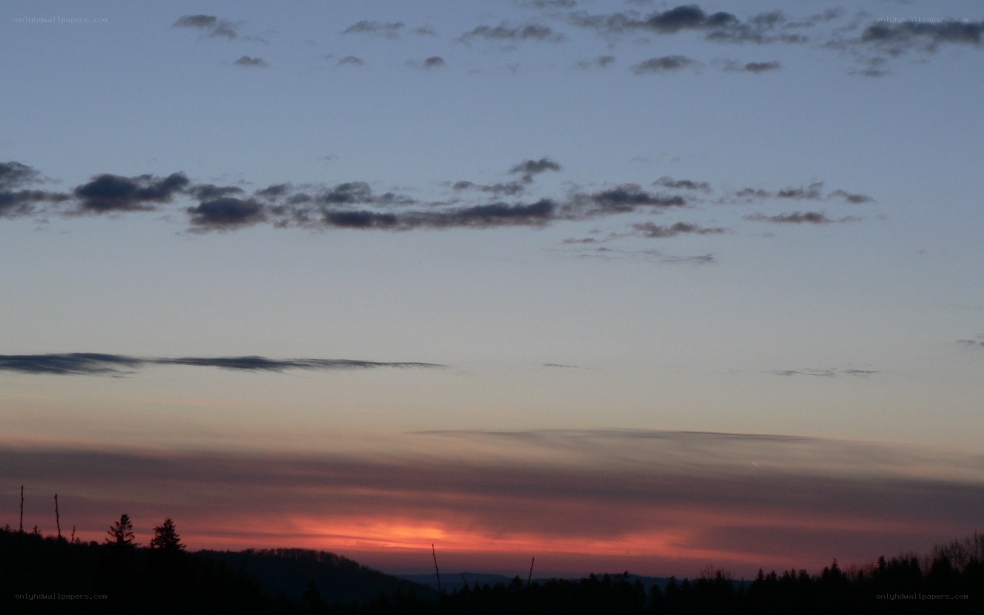 sunset over forest silhouette