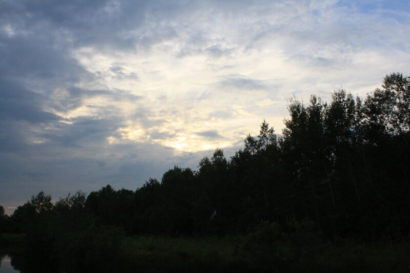 sunset over forest silhouette