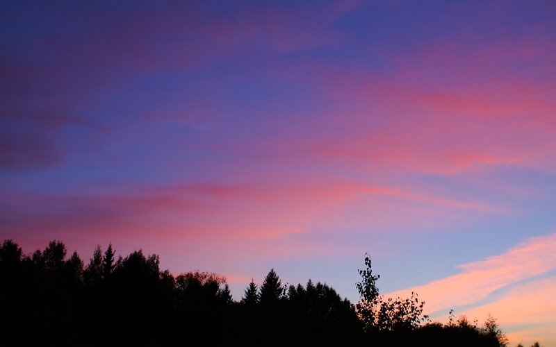 sunset over forest silhouette
