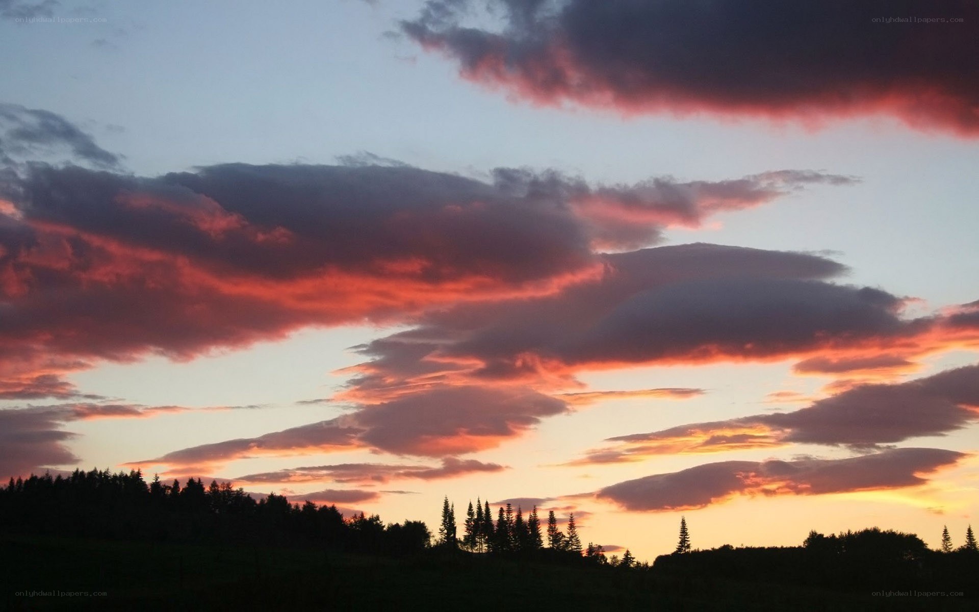sunset over forest silhouette