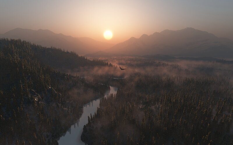 Sunset over forest valley