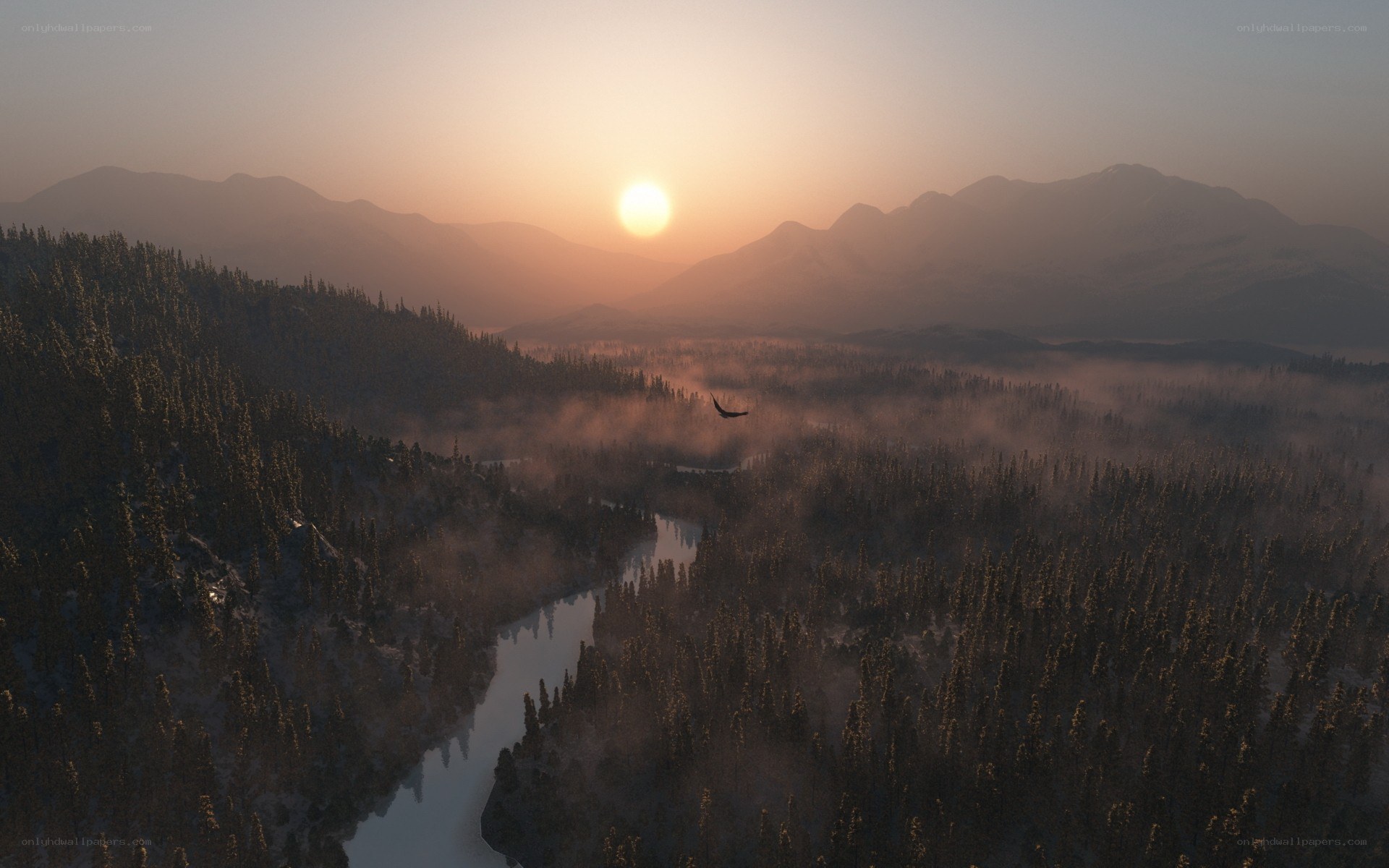 Sunset over forest valley