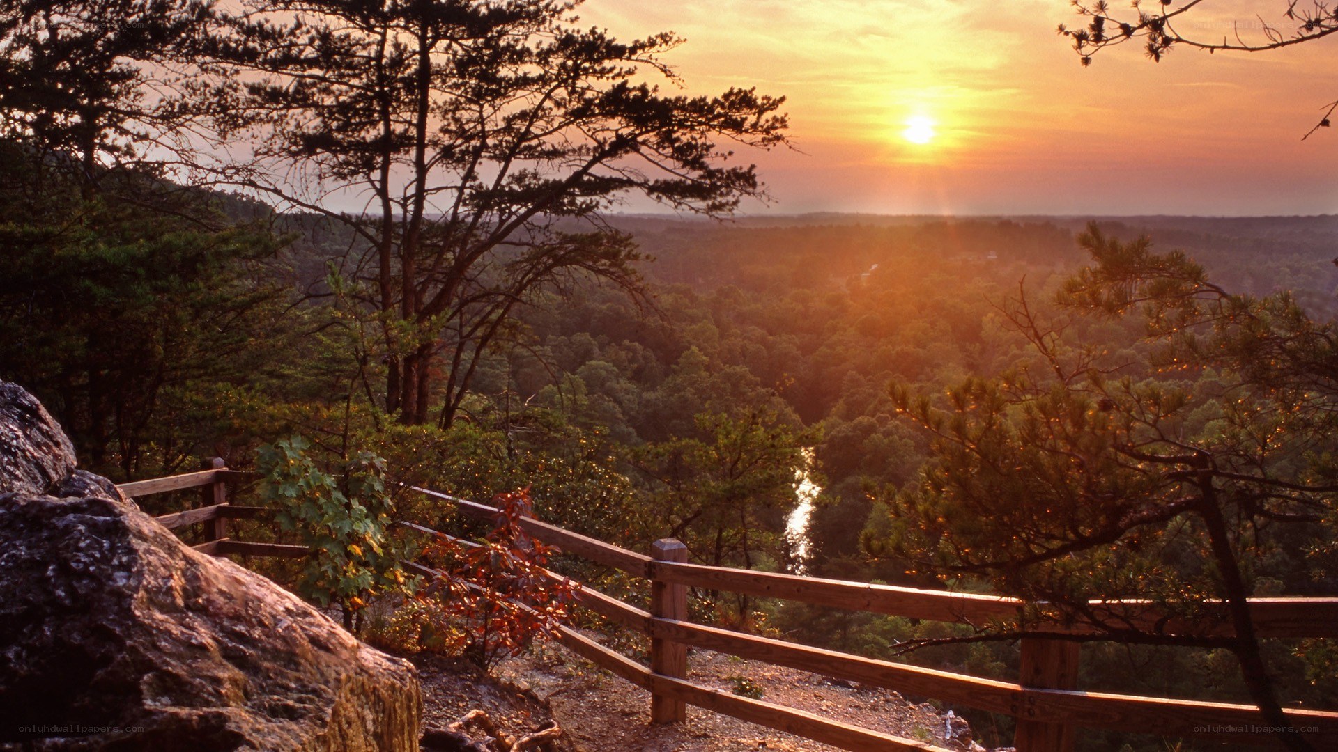 sunset over forest valley