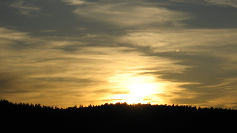 Sunset over Forest — Yellow