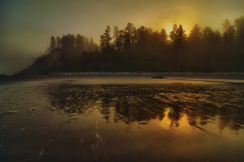 Sunset over Forested Beach