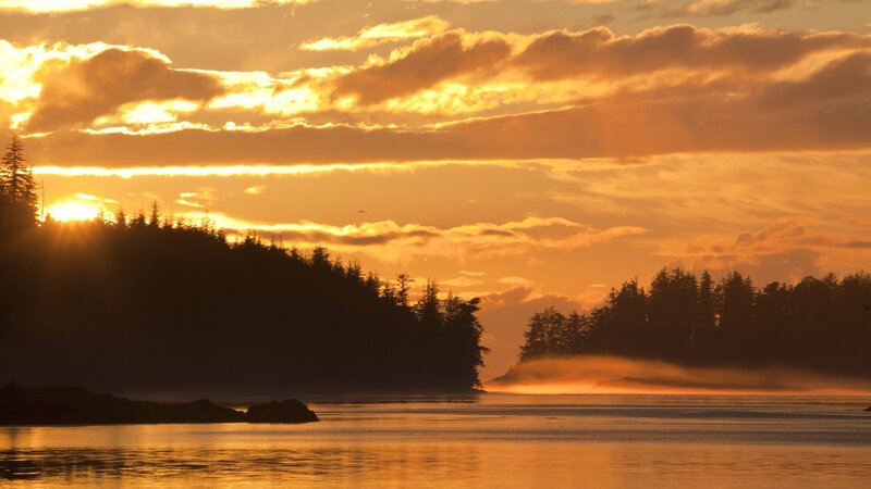 sunset over forested coastline