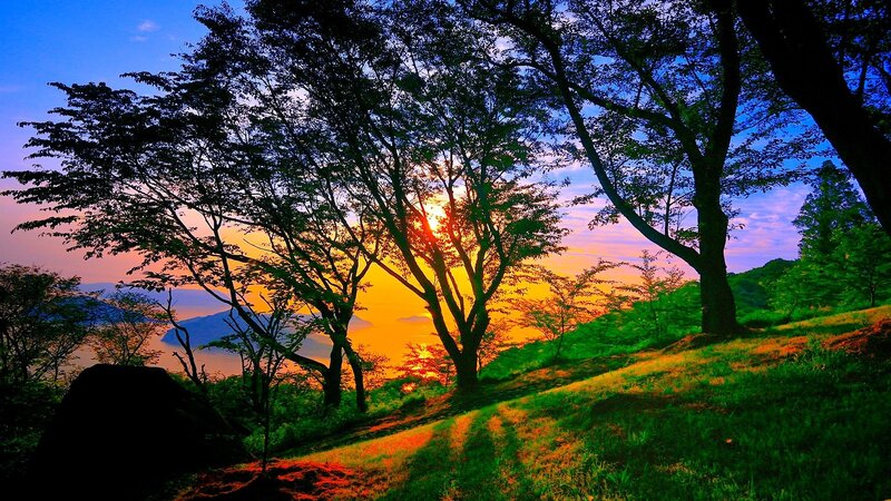 Sunset over Forested Hill