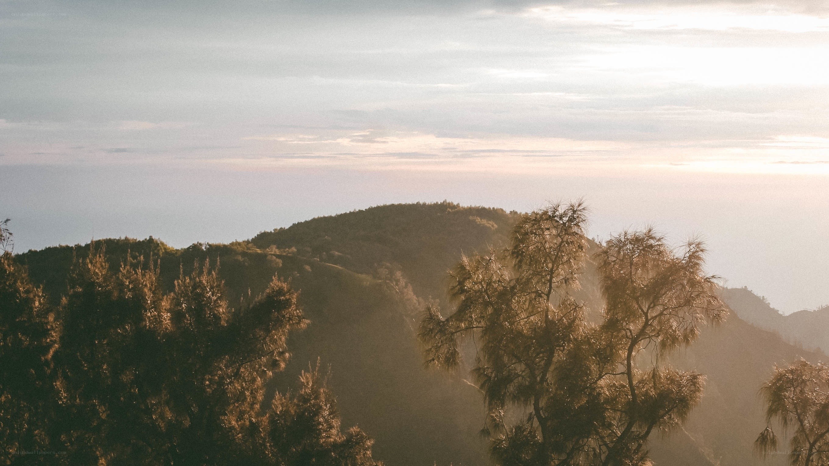 Sunset over forested hills