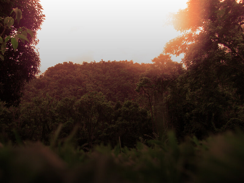 Sunset over forested hills
