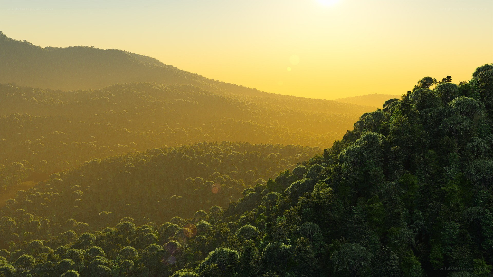 Sunset over forested hills