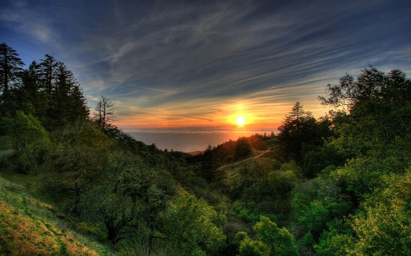 Sunset over Forested Hills — Green, Serene, Photograph, Sun, Trees