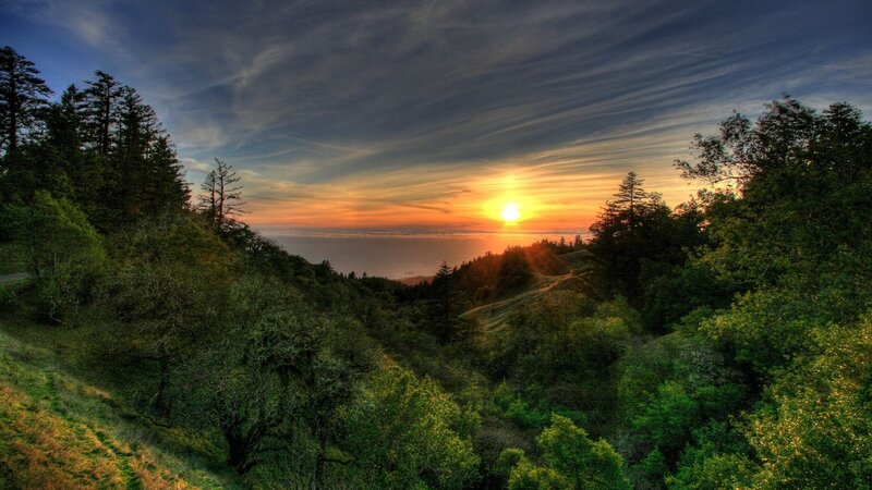 Sunset over Forested Hills — Green, Serene