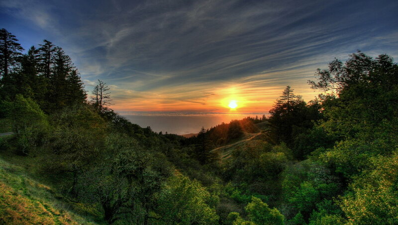 Sunset over Forested Hills — Green