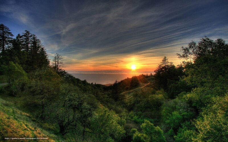 Sunset over forested hills