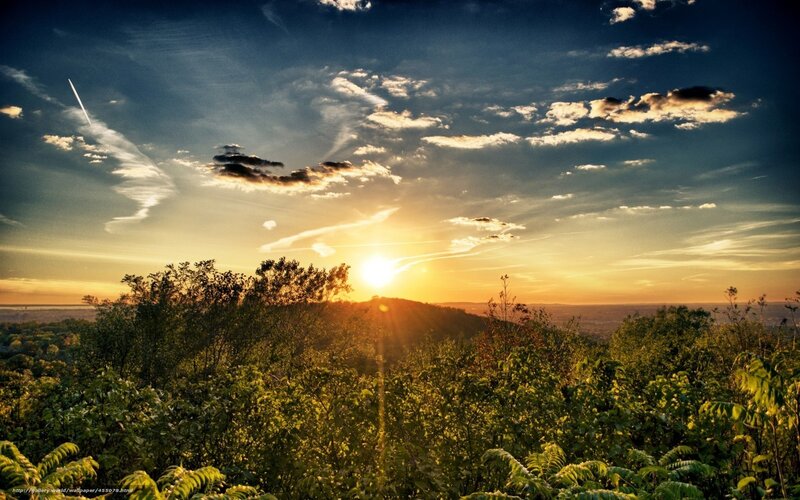 Sunset over Forested Hills — Yellow