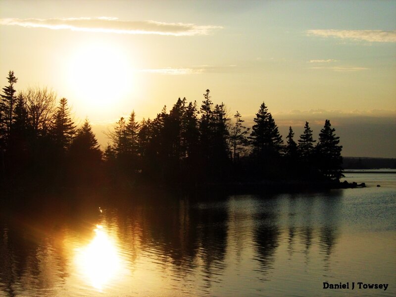 Sunset over Forested Island