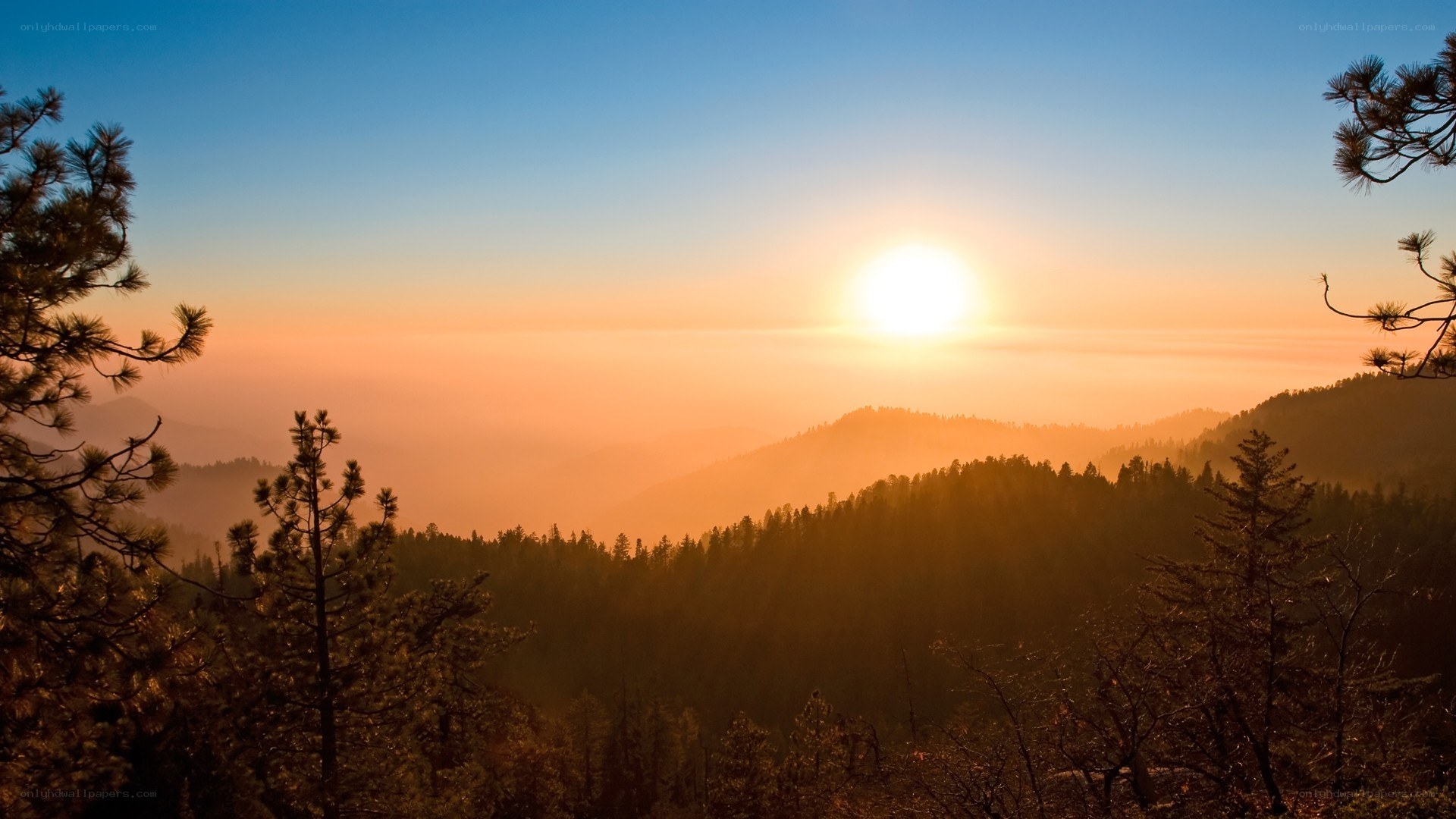 Sunset over forested mountains