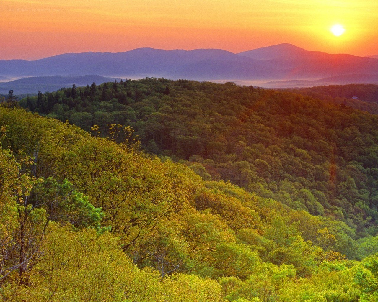 Sunset over forested mountains