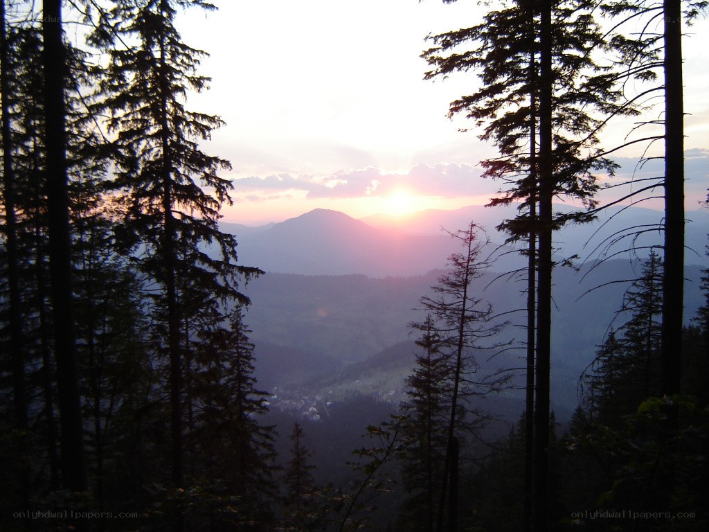 Sunset over forested mountains