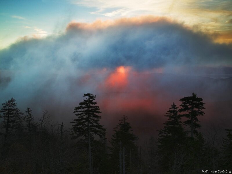 Sunset over forested mountains