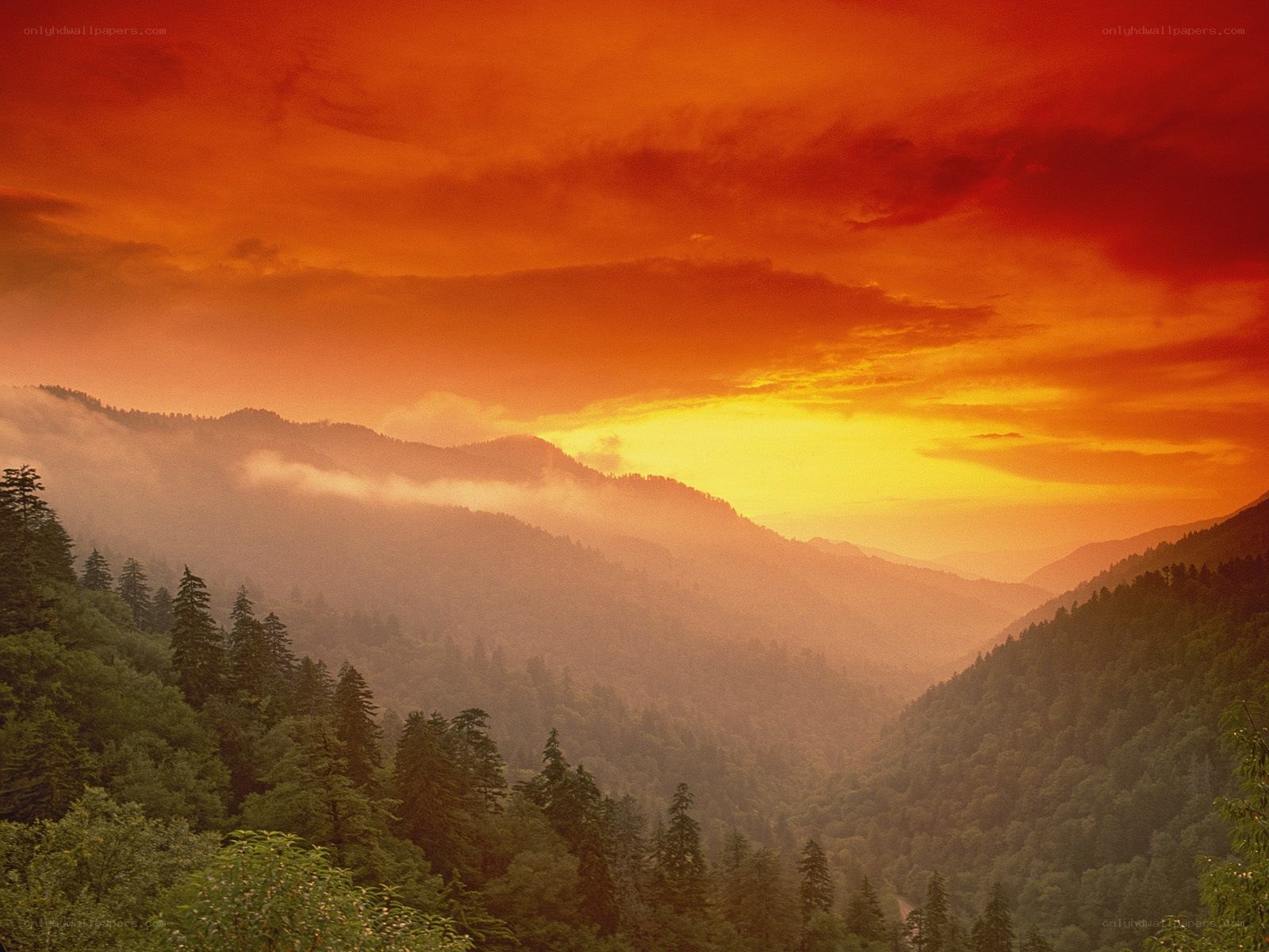 Sunset over forested mountains