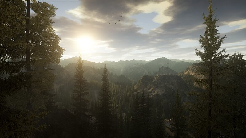Sunset over forested mountains