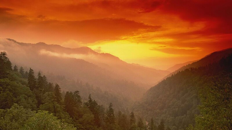 Sunset over forested mountains