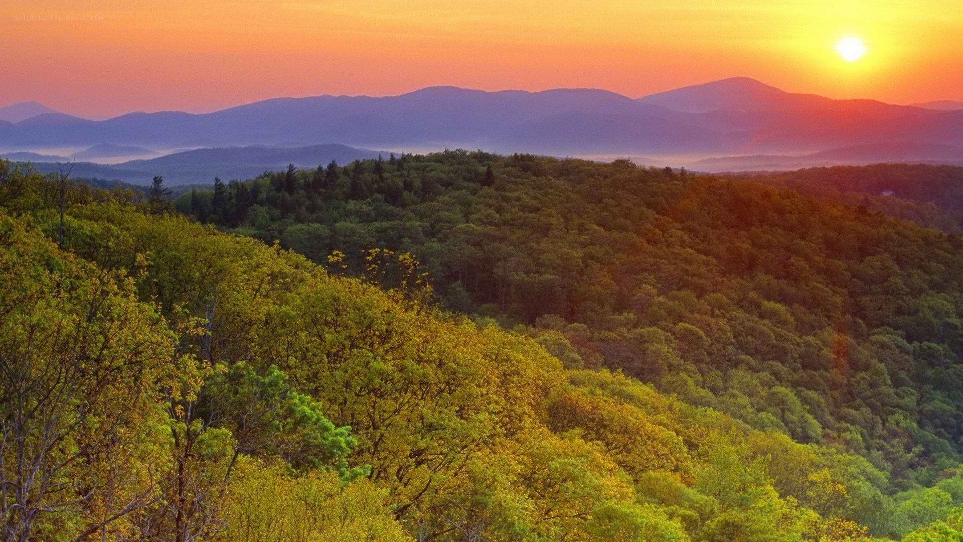 Sunset over forested mountains