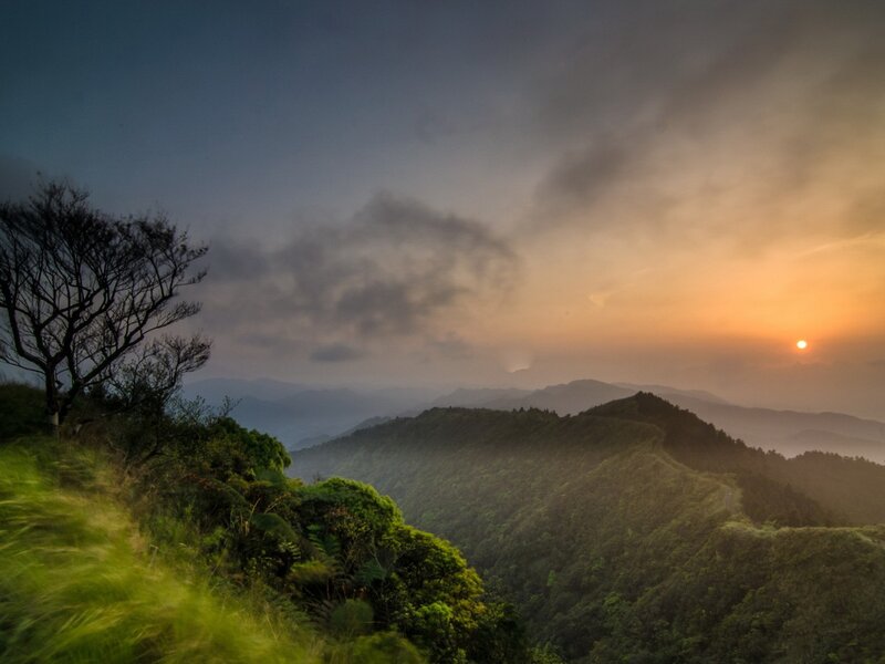 Sunset over Forested Mountains — Green