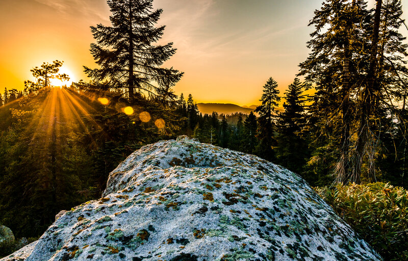 Sunset over forested mountains