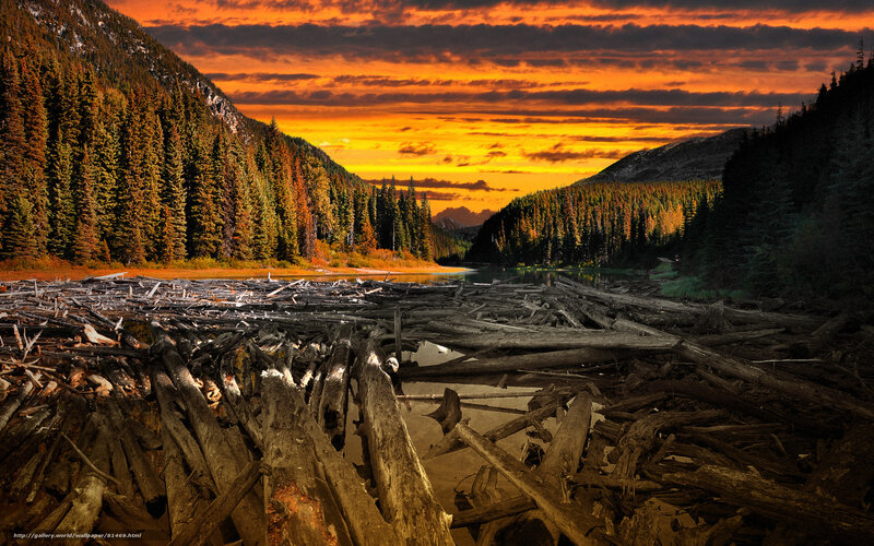 Sunset over forested valley