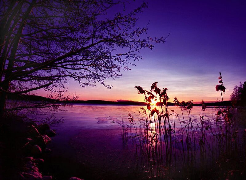 Sunset over Frozen Lake — Purple, Serene