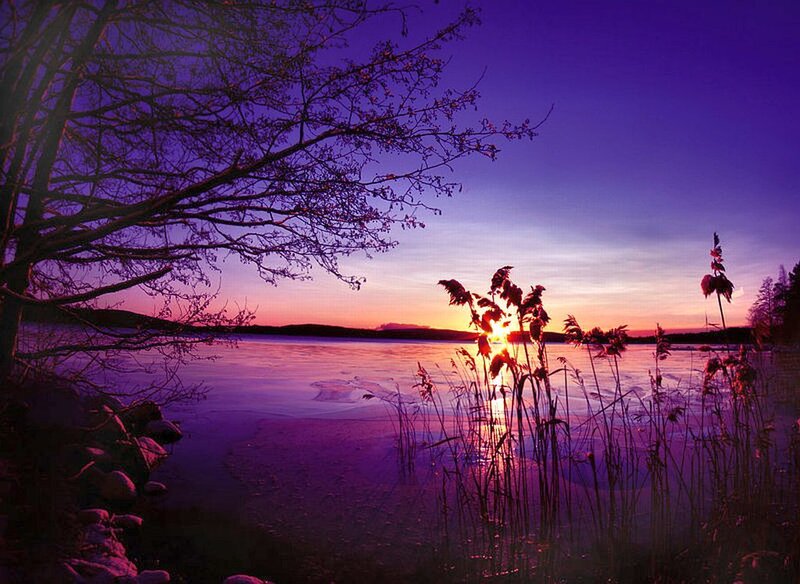 Sunset over Frozen Lake — Purple