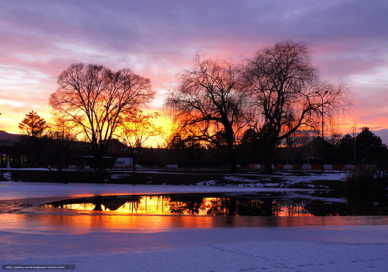Sunset over frozen pond