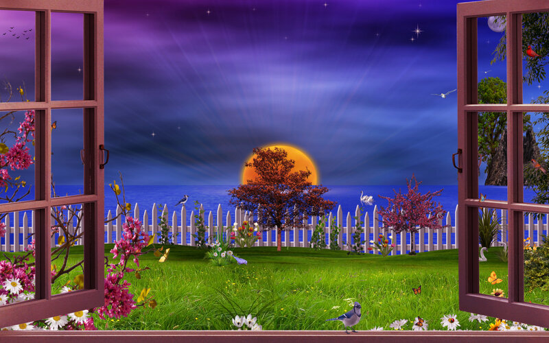 Sunset over Garden