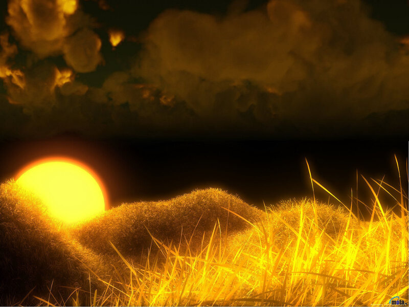 Sunset over golden grass